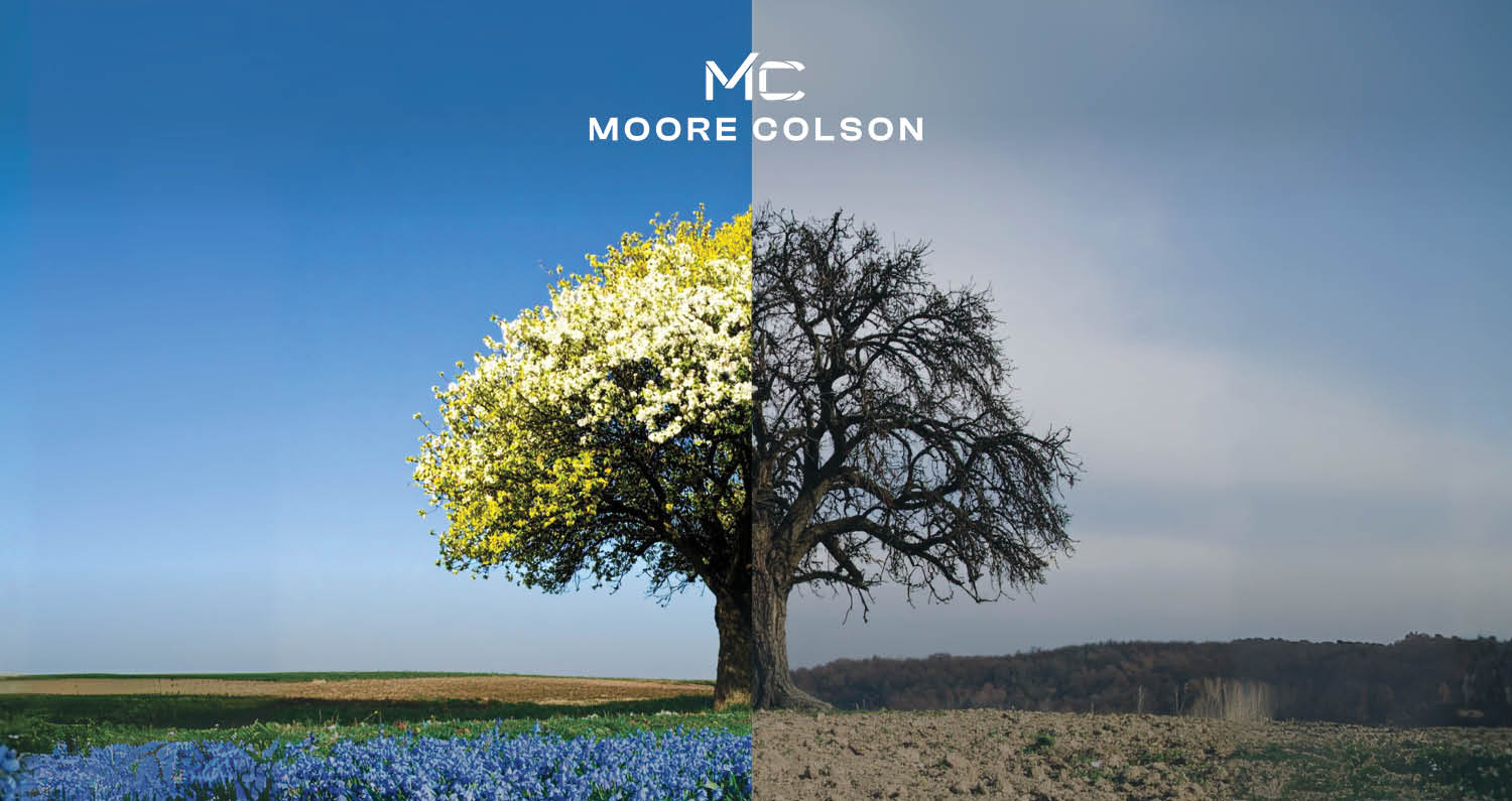 Moore Colson highlights the value of working with an independent accounting and advisory firm with side-by-side images. On the left, the image shows a vibrant tree blooming with flowers over a field of blue flowers under a clear sky. On the right, the image shows a leafless tree in a barren field under a cloudy sky.