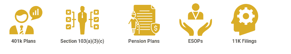 Savannah Retirement Plan Audit Services