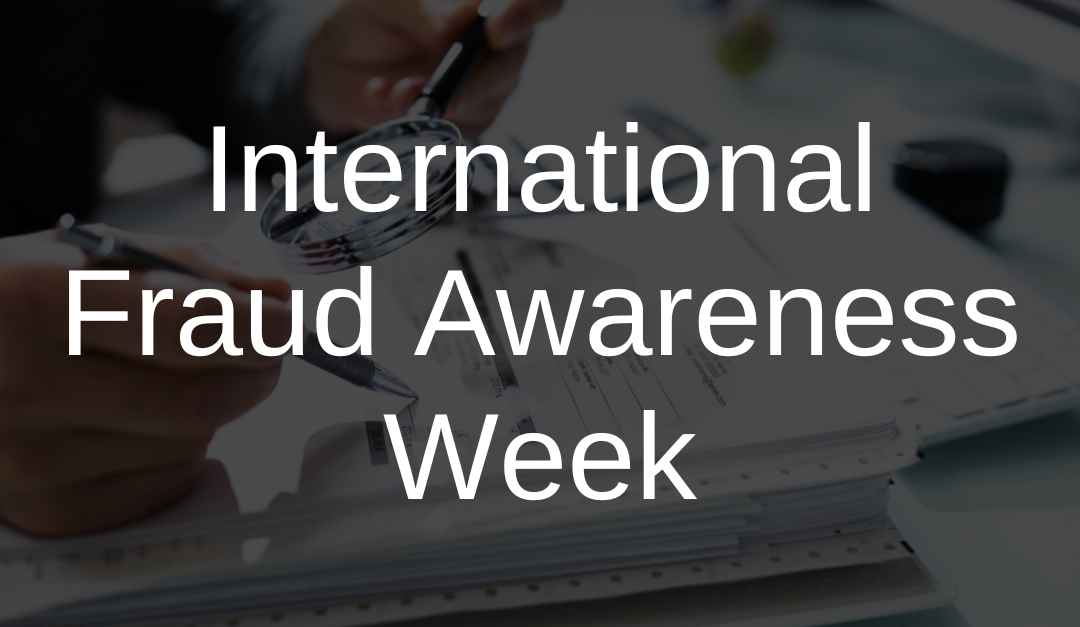 Navigating the Aftermath of an Allegation of Fraud: Strategies to Guide Your Investigation