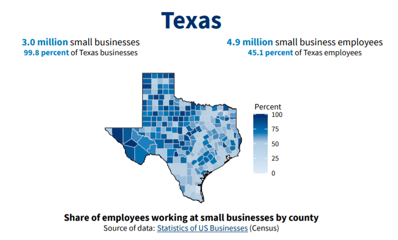 Texas Small Business Profile